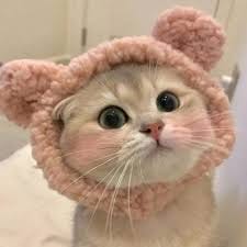 Huỳnh Thu Phương avatar